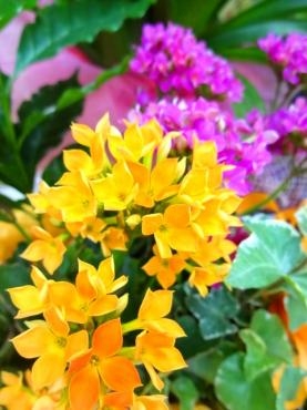 お彼岸にお墓参りに行く理由｜「ポピー」　（京都府八幡市の花キューピット加盟店 花屋）のブログ