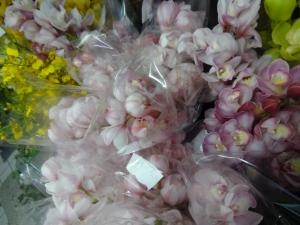 阿波シティマラソンのお手伝い！｜「緑花園」　（徳島県吉野川市の花キューピット加盟店 花屋）のブログ
