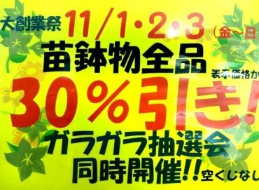 セール予告！（大創業祭１１/１・２・３）｜「ポピー」　（京都府八幡市の花キューピット加盟店 花屋）のブログ
