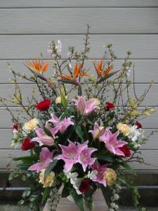 花束・胡蝶蘭など｜「緑花園」　（徳島県吉野川市の花キューピット加盟店 花屋）のブログ