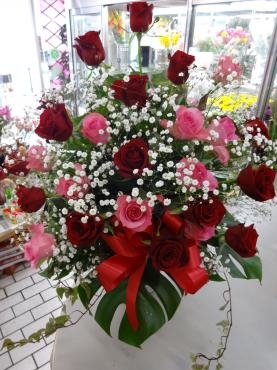 明日はフラワーバレンタイン　でも大雪かも・・・｜「ポピー」　（京都府八幡市の花キューピット加盟店 花屋）のブログ