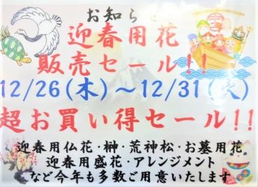 迎春用花セールのお知らせ｜「ポピー」　（京都府八幡市の花キューピット加盟店 花屋）のブログ