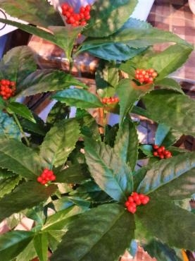 千両市終わりました｜「ポピー」　（京都府八幡市の花キューピット加盟店 花屋）のブログ