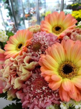 つかのま｜「ポピー」　（京都府八幡市の花キューピット加盟店 花屋）のブログ