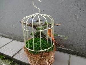 新生活応援します！｜「緑花園」　（徳島県吉野川市の花キューピット加盟店 花屋）のブログ