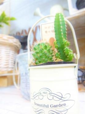 ちょっと模様替え!?｜「ポピー」　（京都府八幡市の花キューピット加盟店 花屋）のブログ