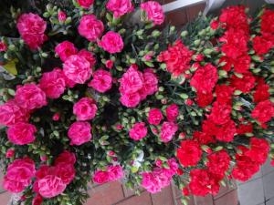 カーネーション・アジサイなど入荷！｜「緑花園」　（徳島県吉野川市の花キューピット加盟店 花屋）のブログ