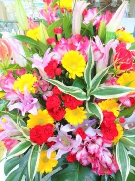 卒業式はなんとか一応あるみたいです。｜「ポピー」　（京都府八幡市の花キューピット加盟店 花屋）のブログ