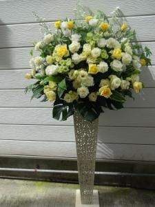 ピンクの胡蝶蘭をお中元に！｜「緑花園」　（徳島県吉野川市の花キューピット加盟店 花屋）のブログ