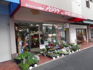 駐車場のご案内｜「ポピー」　（京都府八幡市の花キューピット加盟店 花屋）のブログ