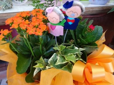 いいこと発見!!｜「ポピー」　（京都府八幡市の花キューピット加盟店 花屋）のブログ