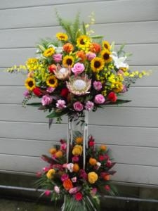 ちょこっと秋らしく・・・｜「緑花園」　（徳島県吉野川市の花キューピット加盟店 花屋）のブログ