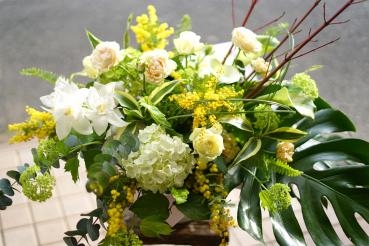 お洒落＜ミモザ＞御祝アレンジメント　三島市フローラント｜「フローラント」　（静岡県三島市の花キューピット加盟店 花屋）のブログ