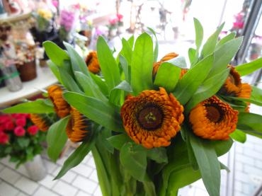 土曜日のお買い得切り花｜「ポピー」　（京都府八幡市の花キューピット加盟店 花屋）のブログ