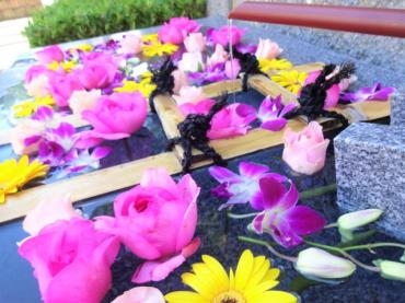 今週の花手水｜「ポピー」　（京都府八幡市の花キューピット加盟店 花屋）のブログ