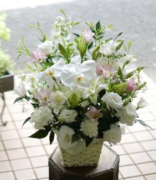 花キューピットご注文承りました　三島市フローラント｜「フローラント」　（静岡県三島市の花キューピット加盟店 花屋）のブログ