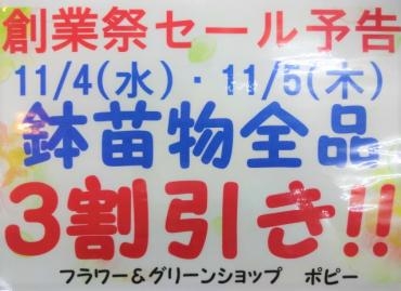 創業祭、鉢苗物3割引き11/4・5｜「ポピー」　（京都府八幡市の花キューピット加盟店 花屋）のブログ