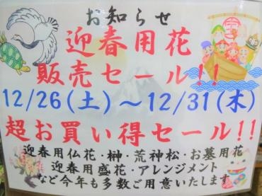 迎春用花セールのお知らせと、鉢物仕入れ｜「ポピー」　（京都府八幡市の花キューピット加盟店 花屋）のブログ