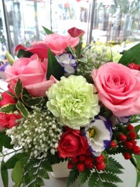 たまにはヴィヴィッち（猫）｜「ポピー」　（京都府八幡市の花キューピット加盟店 花屋）のブログ