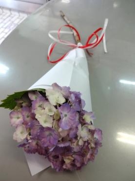 アジサイのおまじない｜「ポピー」　（京都府八幡市の花キューピット加盟店 花屋）のブログ