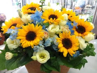 明日６/２１は父の日｜「ポピー」　（京都府八幡市の花キューピット加盟店 花屋）のブログ