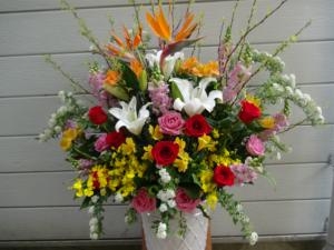 卒業式出来てよかったネ！｜「緑花園」　（徳島県吉野川市の花キューピット加盟店 花屋）のブログ