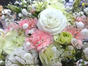 開店休業｜「ポピー」　（京都府八幡市の花キューピット加盟店 花屋）のブログ