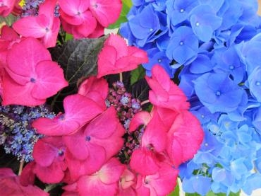 八方塞がり｜「ポピー」　（京都府八幡市の花キューピット加盟店 花屋）のブログ
