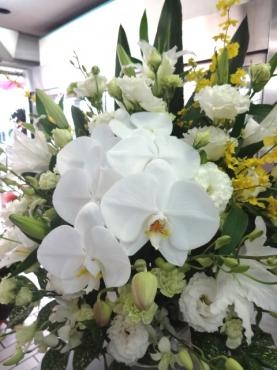 １１/１・２・３　創業祭!!!!!｜「ポピー」　（京都府八幡市の花キューピット加盟店 花屋）のブログ