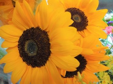 実は8月1回目・・・｜「ポピー」　（京都府八幡市の花キューピット加盟店 花屋）のブログ