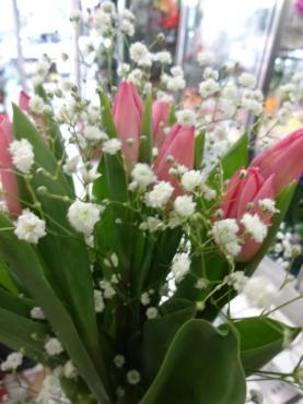 クリスマスにチューリップ｜「ポピー」　（京都府八幡市の花キューピット加盟店 花屋）のブログ