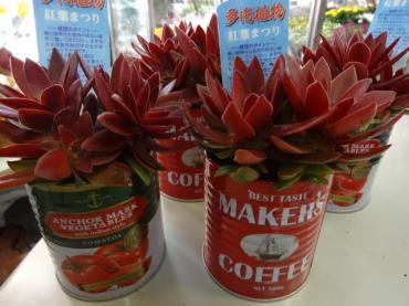 明日からの天気がヤバそうですね｜「ポピー」　（京都府八幡市の花キューピット加盟店 花屋）のブログ