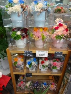 無理はしない｜「ポピー」　（京都府八幡市の花キューピット加盟店 花屋）のブログ