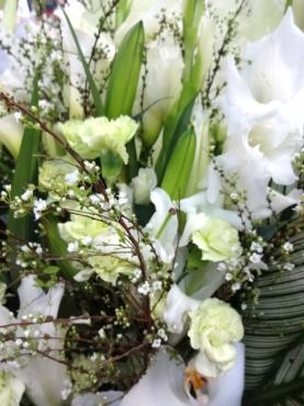 破裂！！｜「ポピー」　（京都府八幡市の花キューピット加盟店 花屋）のブログ