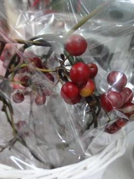 サンキライリース入荷｜「ポピー」　（京都府八幡市の花キューピット加盟店 花屋）のブログ