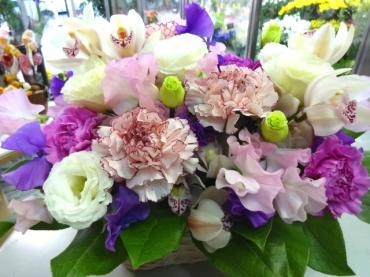 いよいよ３月に突入!!｜「ポピー」　（京都府八幡市の花キューピット加盟店 花屋）のブログ