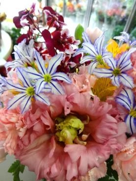 たまたま｜「ポピー」　（京都府八幡市の花キューピット加盟店 花屋）のブログ