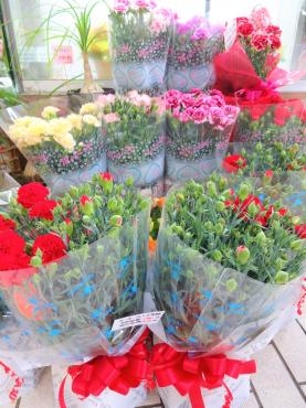 カーネーション鉢、母の日用、続々入荷｜「ポピー」　（京都府八幡市の花キューピット加盟店 花屋）のブログ