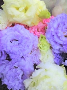 ワクチン3回目接種してきますので・・・｜「ポピー」　（京都府八幡市の花キューピット加盟店 花屋）のブログ