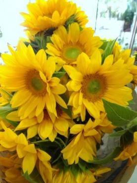 ひまわり｜「ポピー」　（京都府八幡市の花キューピット加盟店 花屋）のブログ