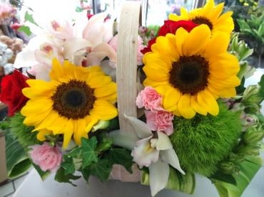 花持ちを良くする方法｜「ポピー」　（京都府八幡市の花キューピット加盟店 花屋）のブログ