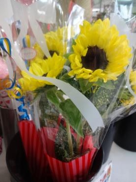 本日、父の日｜「ポピー」　（京都府八幡市の花キューピット加盟店 花屋）のブログ