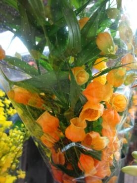 オススメ切り花｜「ポピー」　（京都府八幡市の花キューピット加盟店 花屋）のブログ