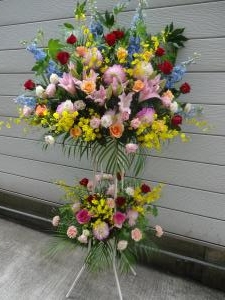スタンド花・と・　観葉植物入荷｜「緑花園」　（徳島県吉野川市の花キューピット加盟店 花屋）のブログ