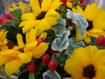 本日よりまた元気に営業中です｜「ポピー」　（京都府八幡市の花キューピット加盟店 花屋）のブログ