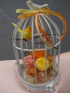 お待たせしました｜「緑花園」　（徳島県吉野川市の花キューピット加盟店 花屋）のブログ