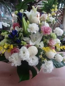 吉野川市・明日から阿波踊りです！｜「緑花園」　（徳島県吉野川市の花キューピット加盟店 花屋）のブログ