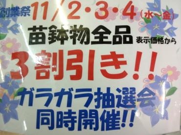 今年もやります！創業祭！！｜「ポピー」　（京都府八幡市の花キューピット加盟店 花屋）のブログ