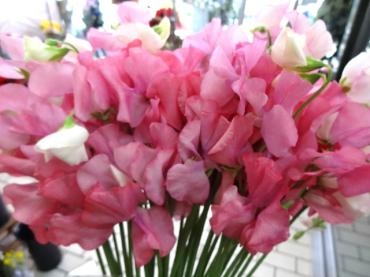 スイートピーがきた～～!!｜「ポピー」　（京都府八幡市の花キューピット加盟店 花屋）のブログ