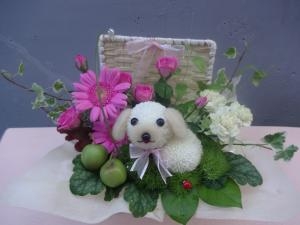 アニマルフラワーおすわりワンコです！｜「緑花園」　（徳島県吉野川市の花キューピット加盟店 花屋）のブログ